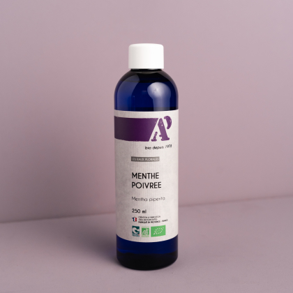 Pfefferminzhydrolat Provence, Bio 250 ml